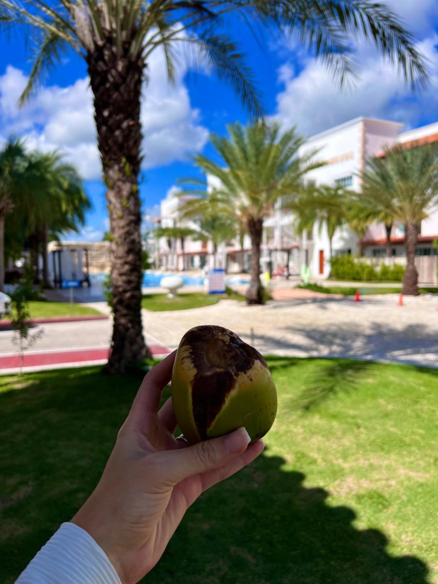 Tanama Hotel Punta Cana Exteriör bild